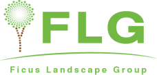 Ficus Landscape Group